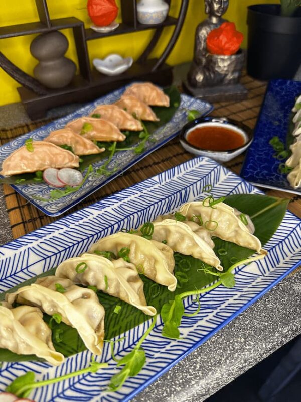 Close-up of Gyoza Duck appetizer on blue and white dishware, Edinburgh restaurant