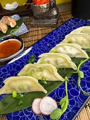 Freshly prepared Gyoza Vegetables served on a blue-patterned plate with a side of sauce in Edinburgh